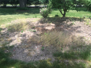 beforewestbloomfield1